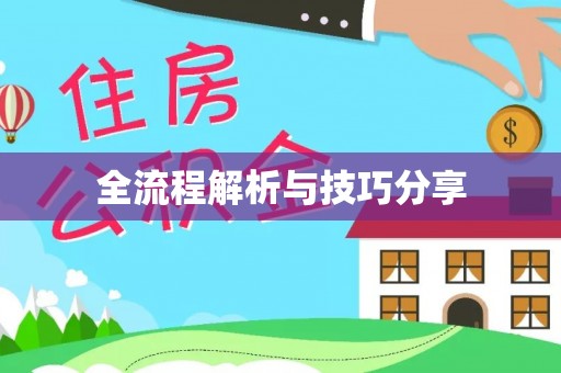 奉新全流程解析与技巧分享