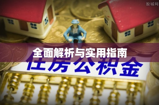 奉新全面解析与实用指南