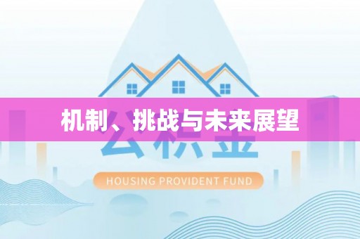 奉新机制、挑战与未来展望